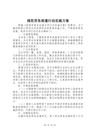 2024年规范劳务派遣行动实施方案