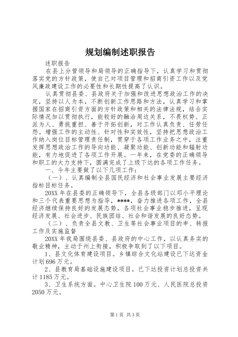 2024年规划编制述职报告_第1页