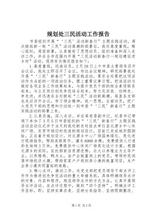 2024年规划处三民活动工作报告