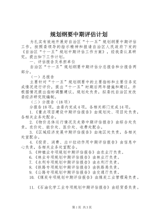 2024年规划纲要中期评估计划