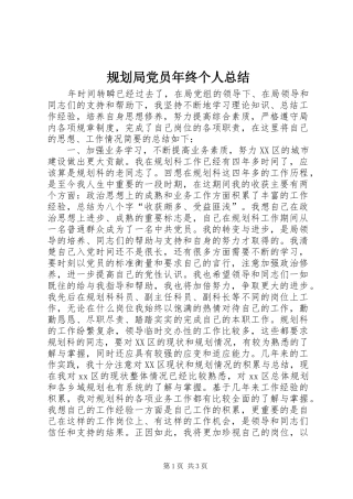 2024年规划局党员年终个人总结