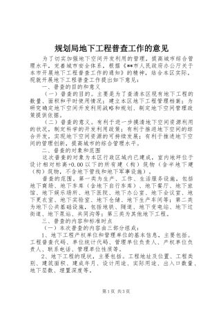 2024年规划局地下工程普查工作的意见