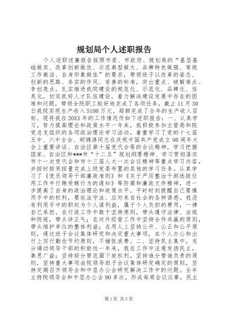 2024年规划局个人述职报告