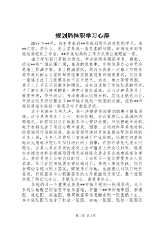2024年规划局挂职学习心得