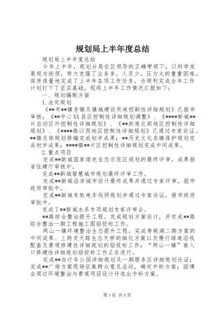 2024年规划局上半年度总结