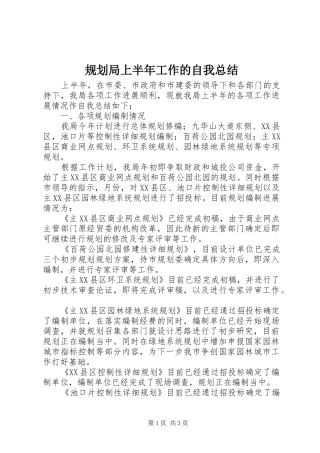 2024年规划局上半年工作的自我总结