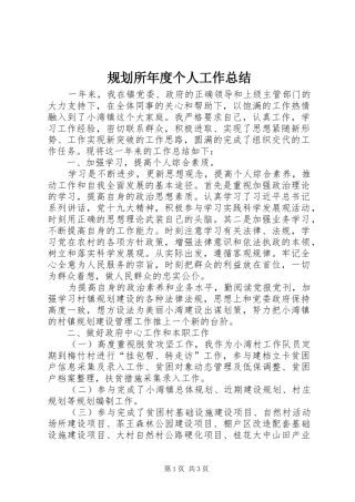 2024年规划所年度个人工作总结