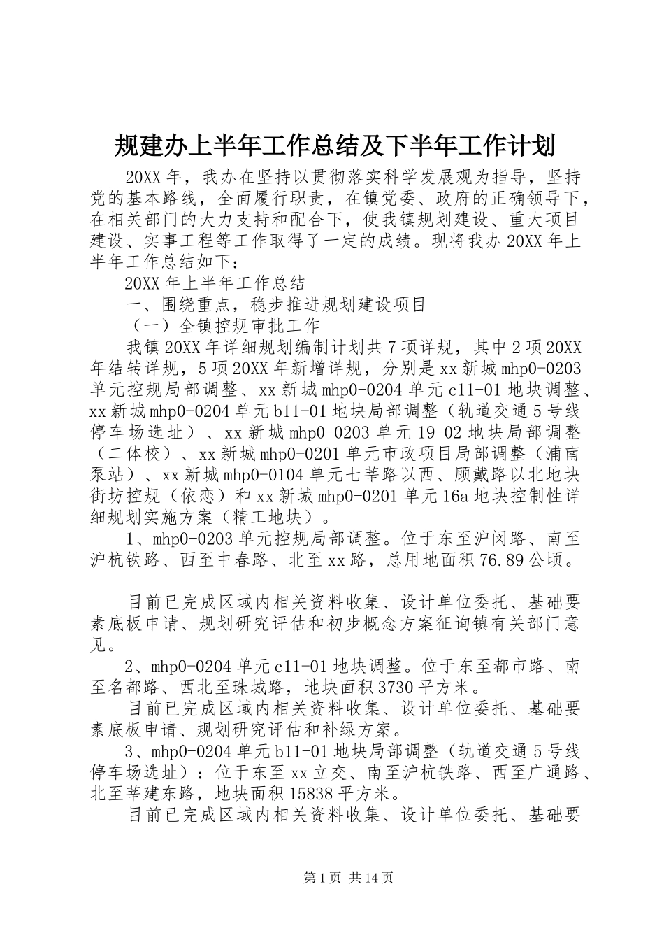 2024年规建办上半年工作总结及下半年工作计划_第1页
