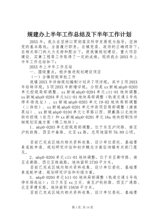 2024年规建办上半年工作总结及下半年工作计划