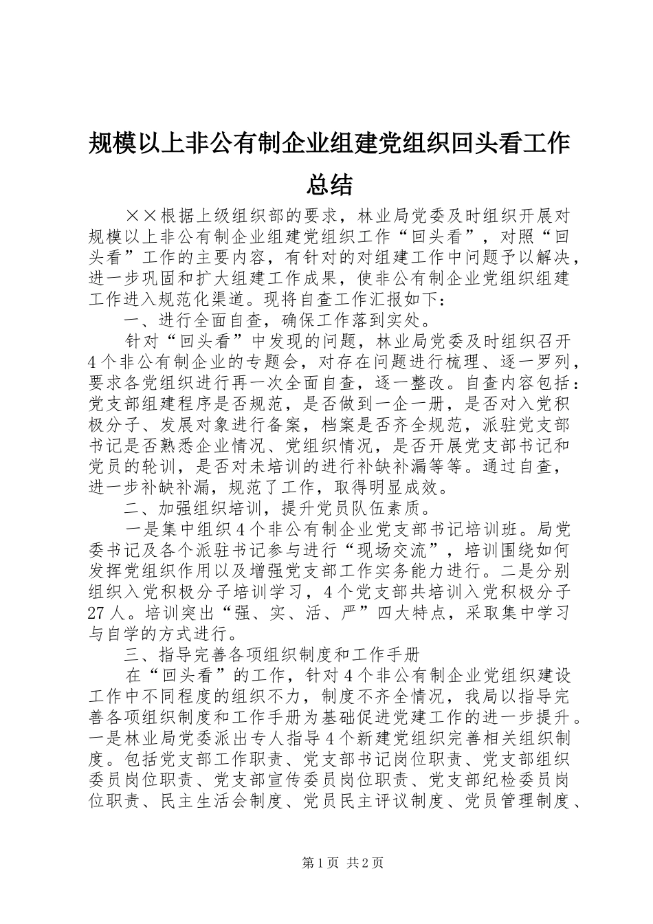 2024年规模以上非公有制企业组建党组织回头看工作总结_第1页