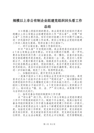 2024年规模以上非公有制企业组建党组织回头看工作总结