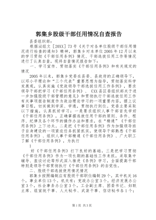 2024年郭集乡股级干部任用情况自查报告