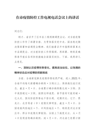 在市疫情防控工作电视电话会议上的讲话