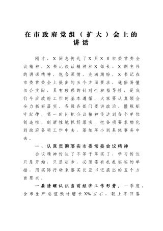在市政府党组扩大会上的讲话