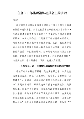 在全市干部挂职锻炼动员会上的讲话