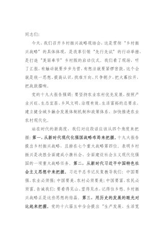 在乡村振兴战略示范片现场会上的讲话