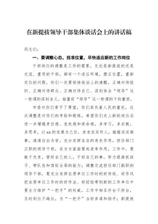 在新提拔领导干部集体谈话会上的讲话稿