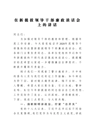 在新提拔领导干部廉政谈话会上的讲话