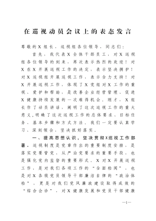 在巡视动员会议上的表态发言