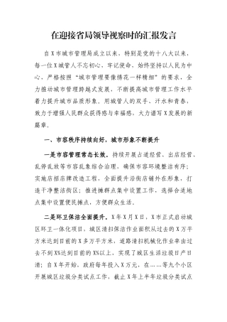 在迎接省局领导视察时的汇报发言