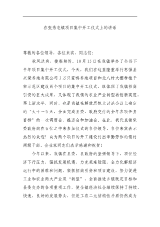 在张秀屯镇项目集中开工仪式上的讲话_转换