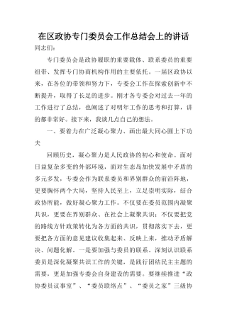 在区政协专门委员会工作总结会上的讲话