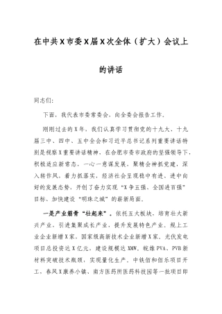 在中共X市委X届X次全体（扩大）会议上的讲话