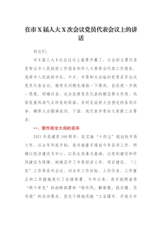 在市X届人大X次会议党员代表会议上的讲话