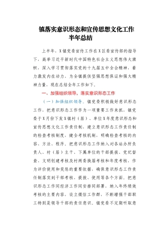 镇落实意识形态和宣传思想文化工作半年总结