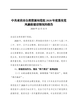 自然资源局党组2020年度落实党风廉政建设情况的报告
