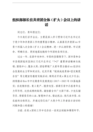 组织：X市组织部部长在共青团全体扩大会议上的讲话