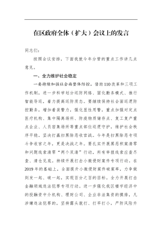 政府办：副区长在区政府全体（扩大）会议上的发言【分管治安、信访，应该是公安局长】