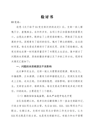政治巡察问责检讨书