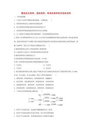 （江苏专用）高考生物 重难点突破强化练 第48练 聚焦杂交育种、诱变育种、单倍体育种和多倍体育种 新人教版-新人教版高三生物试题