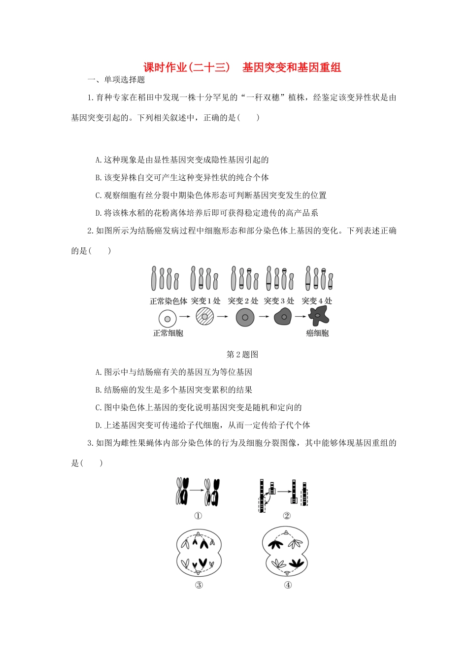 （江苏专用）高考生物一轮总复习 课时作业（二十三）基因突变和基因重组-人教版高三生物试题_第1页