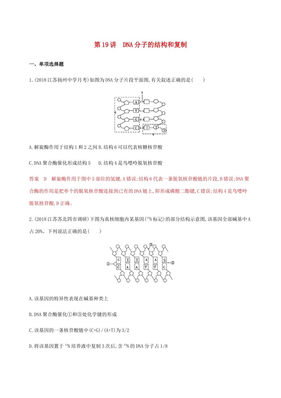 （江苏专用）高考生物总复习 第19讲 DNA分子的结构和复制练习（含解析）-人教版高三生物试题_第1页