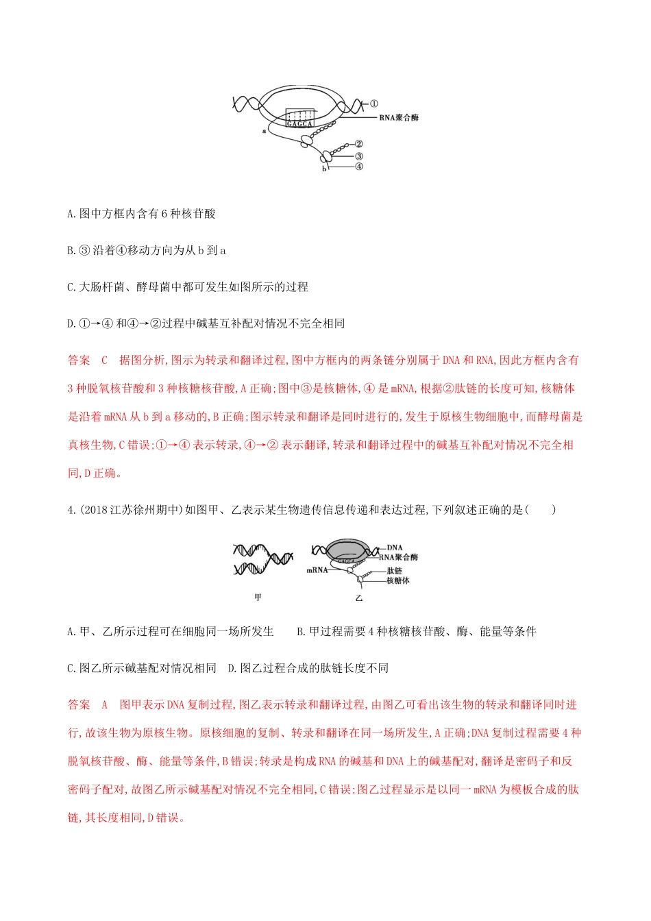 （江苏专用）高考生物总复习 第20讲 基因控制蛋白质的合成练习（含解析）-人教版高三生物试题_第2页