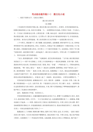 （江苏专用）高考语文大一轮复习 第一章 第二节 小说阅读 考点综合提升练（一）散文化小说-人教版高三语文试题