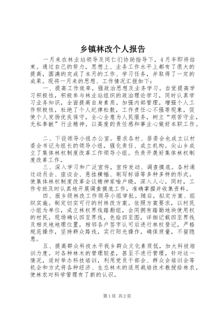 2024年乡镇林改个人报告
