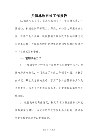 2024年乡镇林改自检工作报告