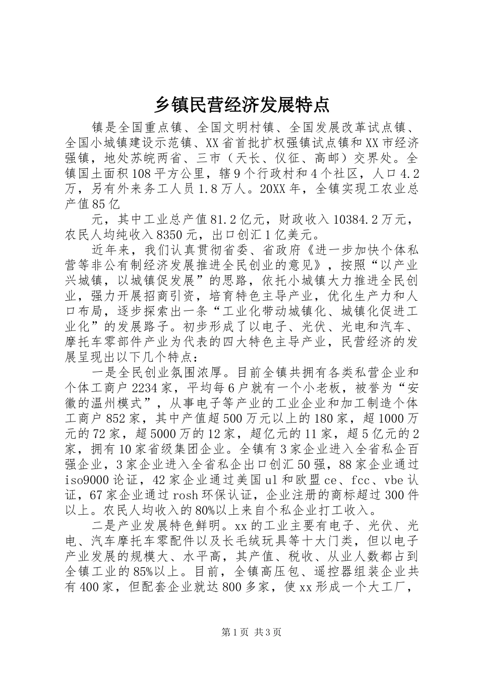 2024年乡镇民营经济发展特点_第1页