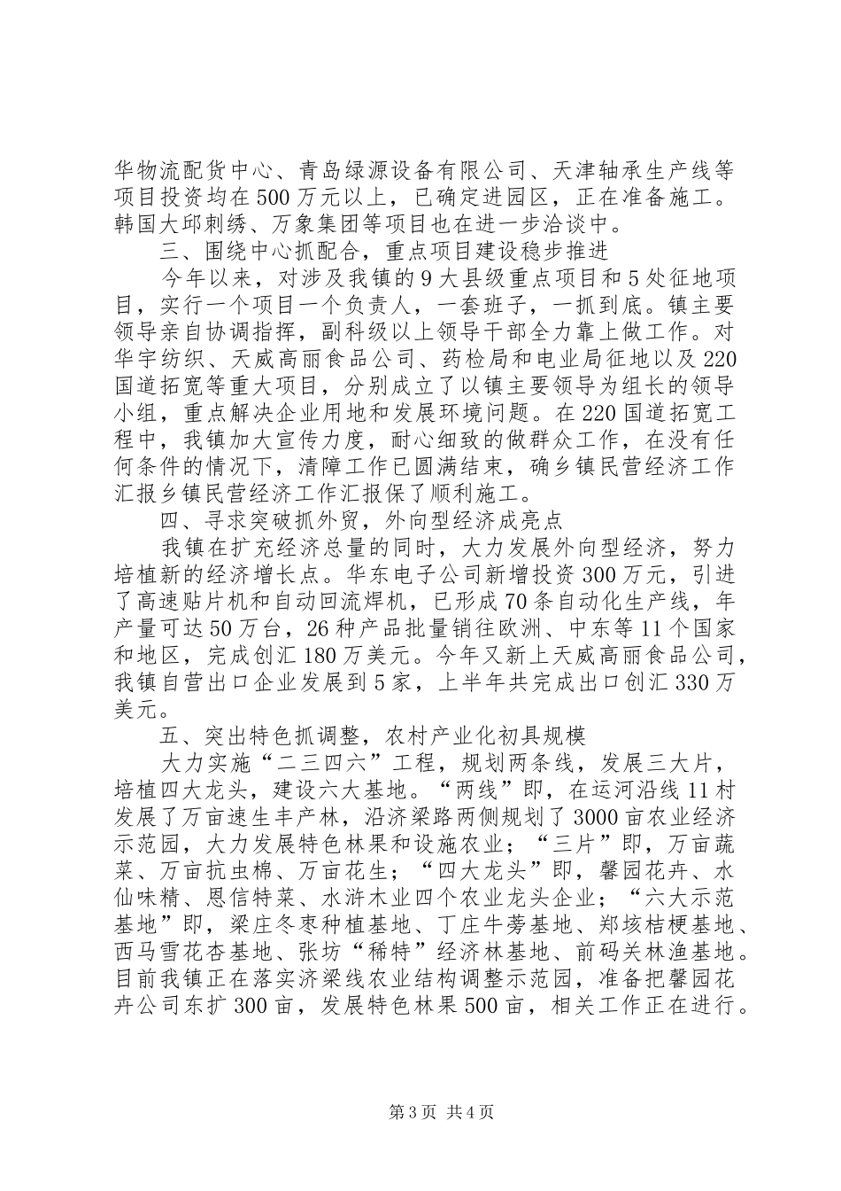 2024年乡镇民营经济工作汇报_第3页