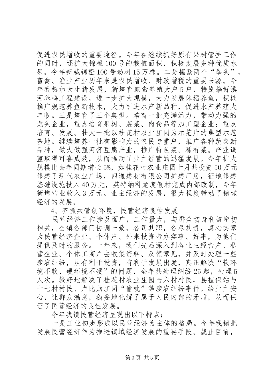2024年乡镇民营经济工作总结_第3页