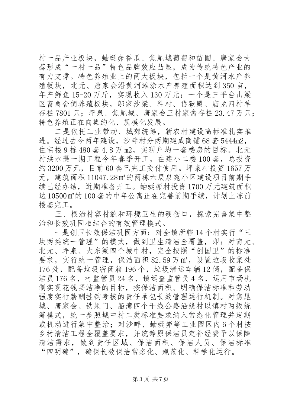 2024年乡镇年度工作汇报_第3页