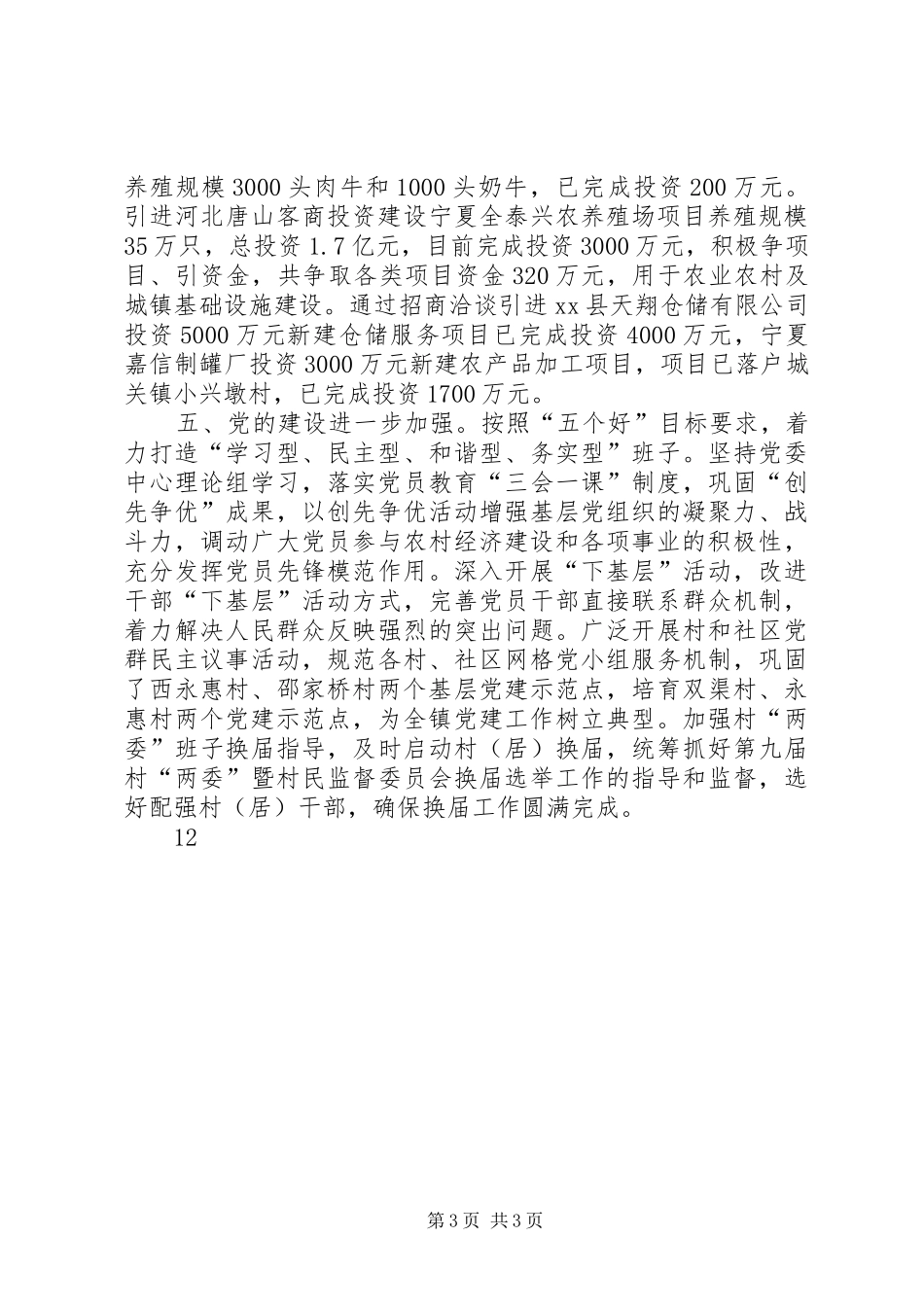 2024年乡镇年度政务工作总结_第3页