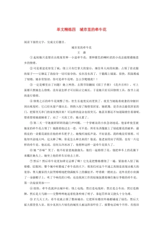 （江苏专用）高考语文加练半小时 第三章 小说阅读 专题一 单文精练四 城市里的牵牛花（含解析）-人教版高三语文试题