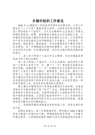 2024年乡镇年组织工作意见