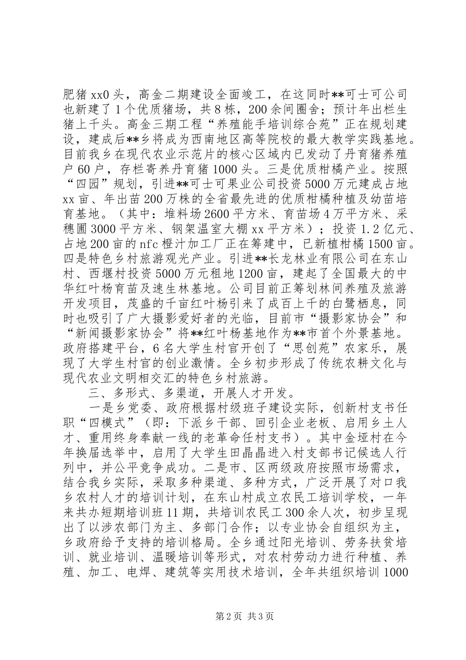 2024年乡镇人才开发工作总结_第2页