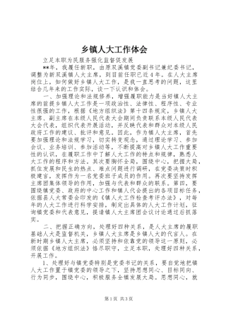 2024年乡镇人大工作体会