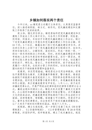 2024年乡镇如何落实两个责任